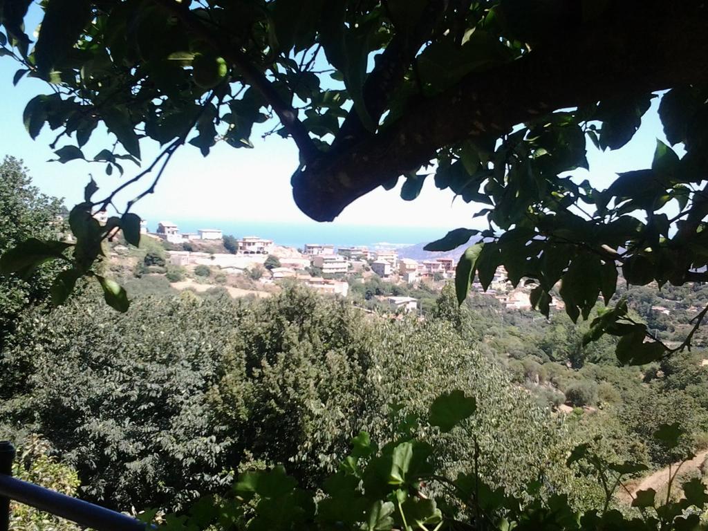 Ilbono Le Roverelle מראה חיצוני תמונה